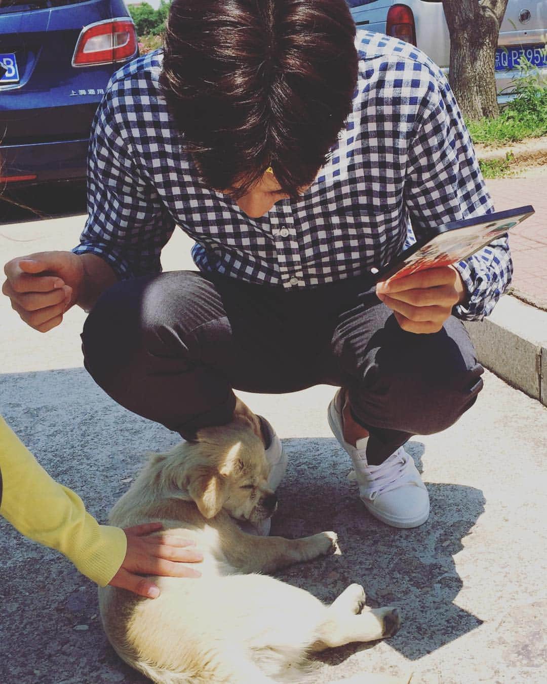 イ・ヒョヌのインスタグラム：「강아지가 쫄래쫄래 오더니 더웠는지 내발밑에 그늘이 생기니까 그대로 누워서 발을 베고 잔댜 오구오구구 귀요워라아😦😦😦😦😦😦😦😦😦😦😦😦😦😦😦 #개스타그램」