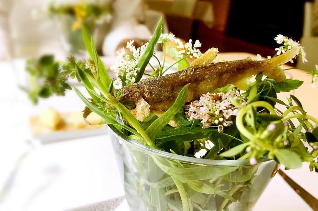 田中麻衣のグルメインスタ