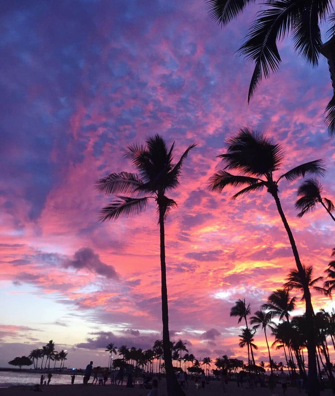 山中美智子さんのインスタグラム写真 - (山中美智子Instagram)「@marristea から Hawaiiの 今日のsunset 届きました🌴💜 綺麗すぎて  ドキドキしちゃうね😳💜🌴 ありがとう♡愛しのスタババカ @marristea」6月27日 18時25分 - alexiastam1988