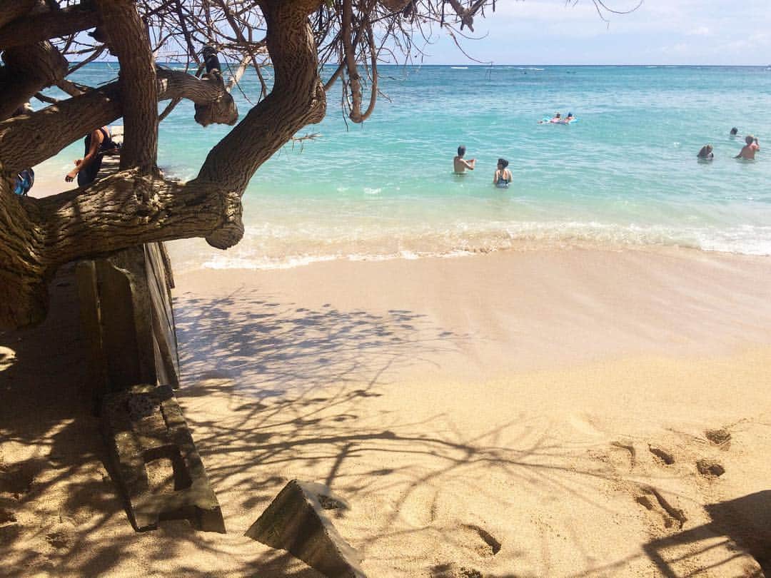泉里香さんのインスタグラム写真 - (泉里香Instagram)「ここ好き💕🌴 #hawaii#beach」6月28日 8時44分 - rika_izumi_