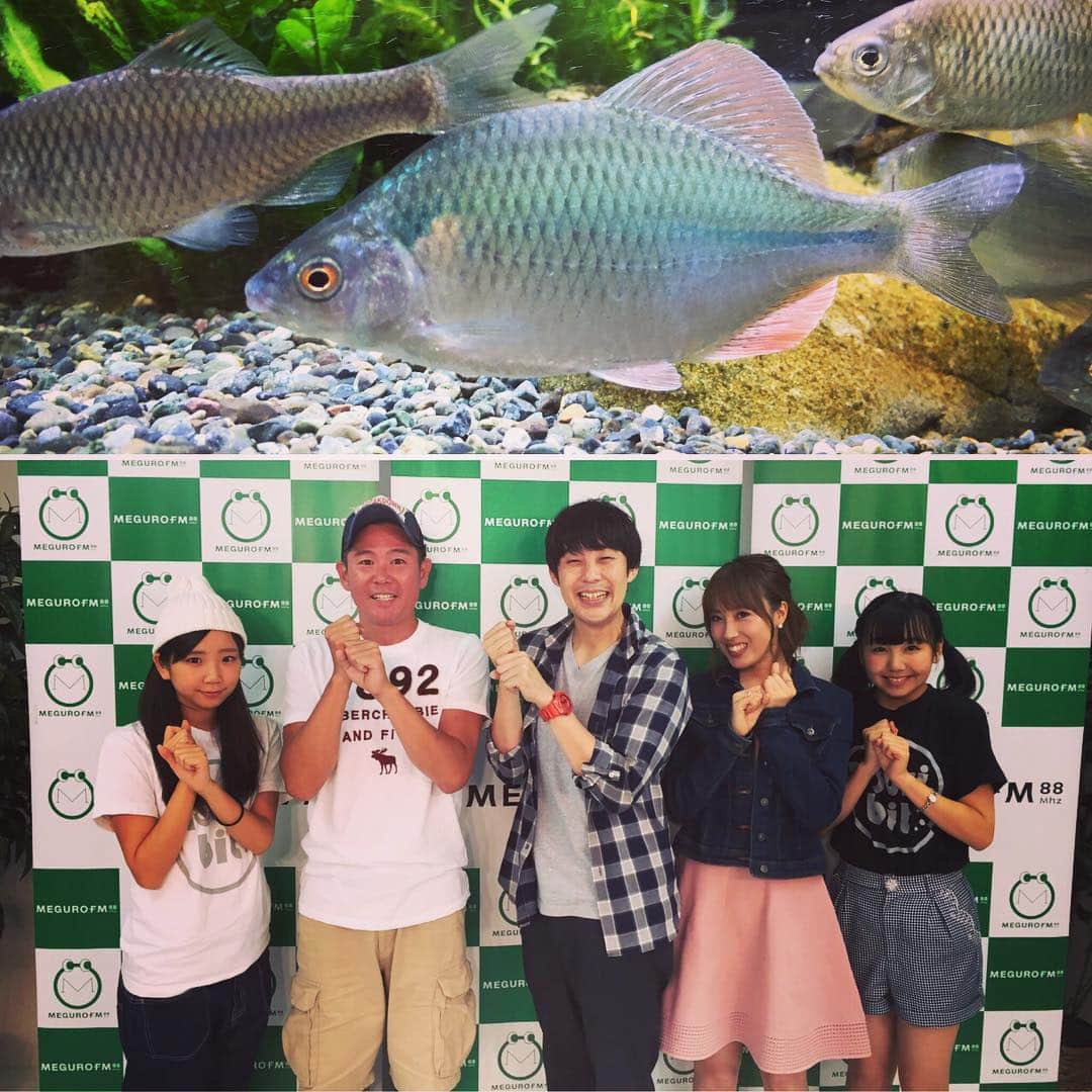 佐久間一行さんのインスタグラム写真 - (佐久間一行Instagram)「タナゴ釣りの話をあんなにできたのは、ツリラブさんだからですのぅ。ありがたや〜でした。 このメンバーの中で一番大きいわたくし。このメンバーの中で一番小さい魚を釣るわたくし。  #ツリラブ #目黒FM #ガレッジセール川田 さん #岡田万里奈 さん #つりビット  さん  #タナゴ #カネヒラ」6月28日 22時22分 - sakuzari