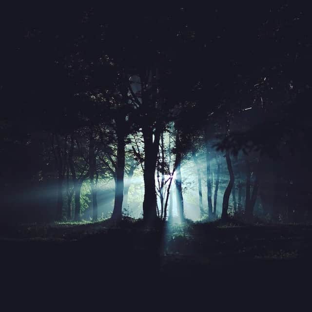 連続ドラマW コールドケース ～真実の扉～さんのインスタグラム写真 - (連続ドラマW コールドケース ～真実の扉～Instagram)「森の中に、光。この場所で起きた凶悪事件の真実に、主人公たちは立ち向かいます。 #WOWOW #コールドケース #森 #吉田羊 #woods #forests #tree #beautiful #light #4K #HDR」6月30日 10時12分 - coldcase_jp
