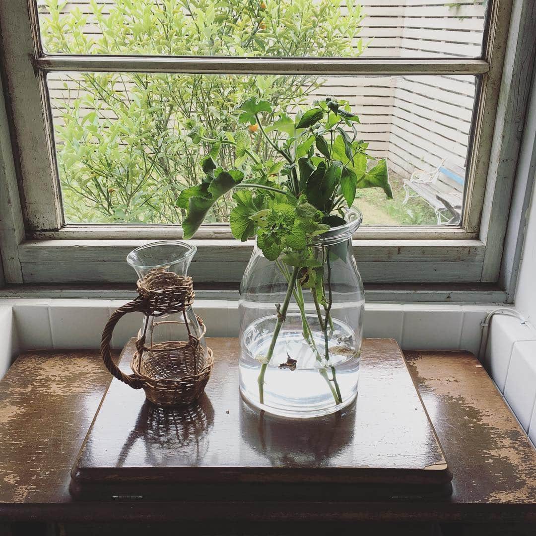 小堀紀代美のグルメインスタ