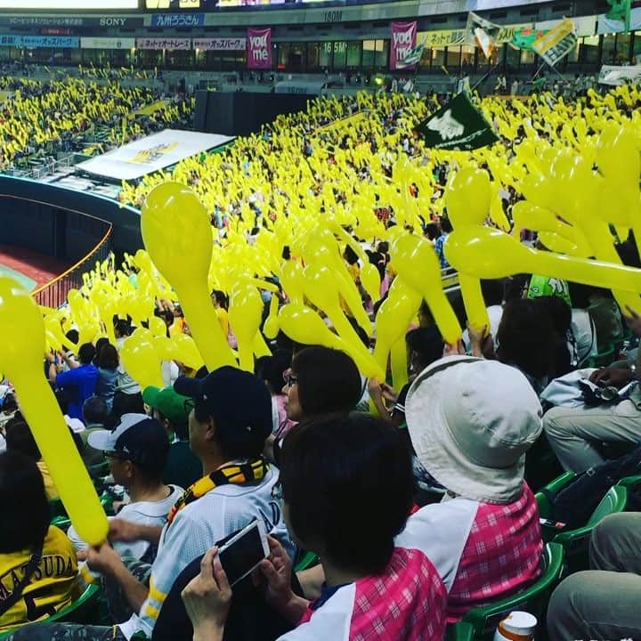 眞庭城聖のグルメインスタ