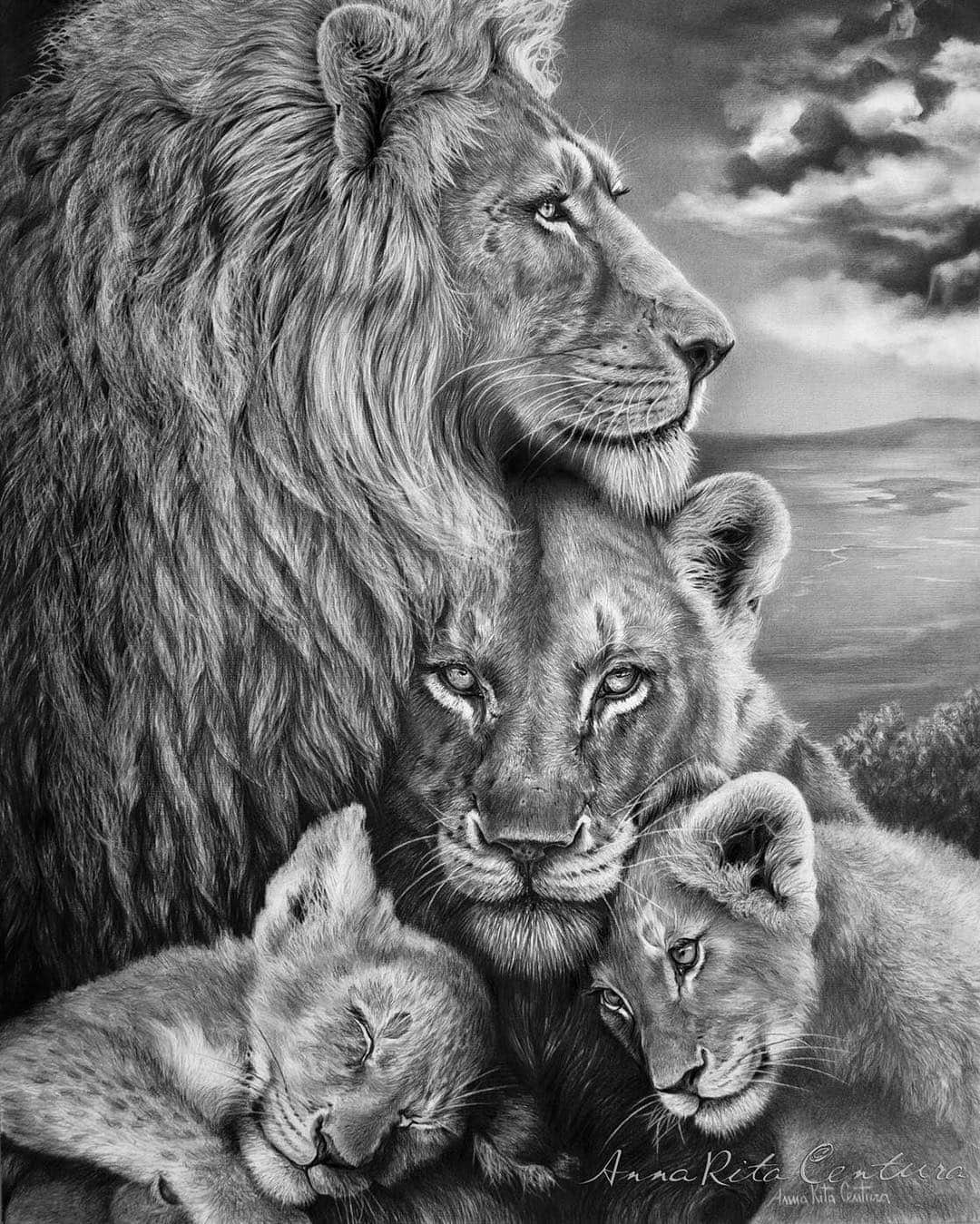 Kevin Richardson LionWhisperer さんのインスタグラム写真 - (Kevin Richardson LionWhisperer Instagram)「Today’s #FanArtFriday posts comes to us from Italian artist Anna Rita Centura, whose generosity is as great as her talent.  We will let her tell you about the piece in her own words:  With all my love for lions, here my last work: “PRIDE”- Anna Rita Centura Graphite on paper, fixed on wooden board 60x80cm. Pride and its sacred meaning of family, a precious and perfect pyramid: the top - the head=the lion; the middle - the golden casket - the heart=the lioness; the base - the evolution - the future of family = the cubs. I really think that lion deserves to have a future for its species and for whole the ecosystem on this our wonderful planet Earth. We must protect and respect them, but above all, we have to understand that every single creature has a established right since its birth that is: to live. They are vanishing and I don’t want imagine them, only through the clouds, like on my work (on the right in the sky), but I need to know that they become many, many and many more, in their habitat …They are born to be here... and free! I want to thank Kevin Richardson and all his team, to have transmitted to me a "sparkle" of his great love for this miracle of Nature!  Thank you Anna Rita. We share this as a tribute to Cecil who was illegally hunted one year ago today. #SaveHabitat #SaveLions #Bancannedhunting」7月1日 12時12分 - lionwhisperersa
