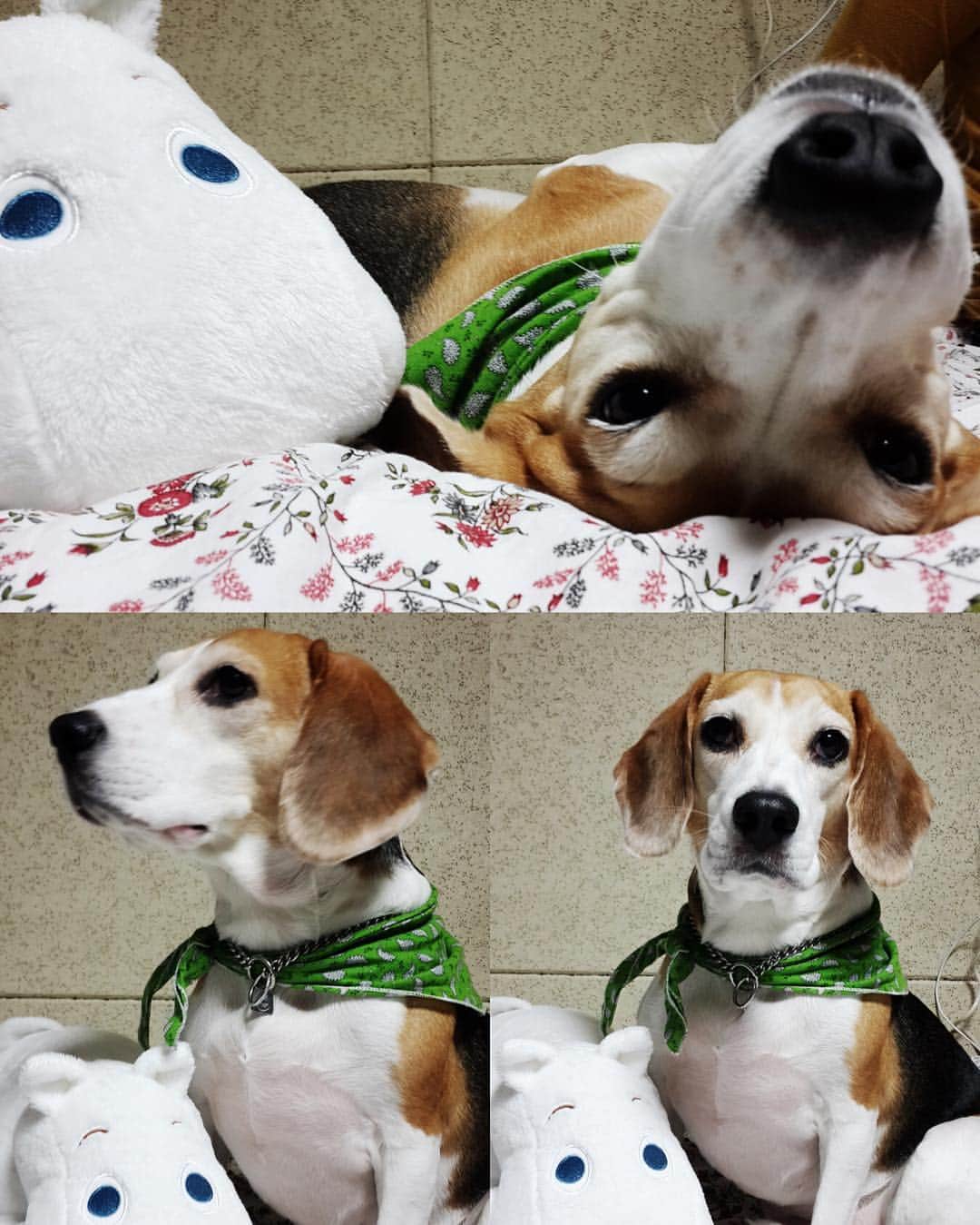 イ・ヒョヌのインスタグラム：「별이 보고싶다😔 我想它😔」