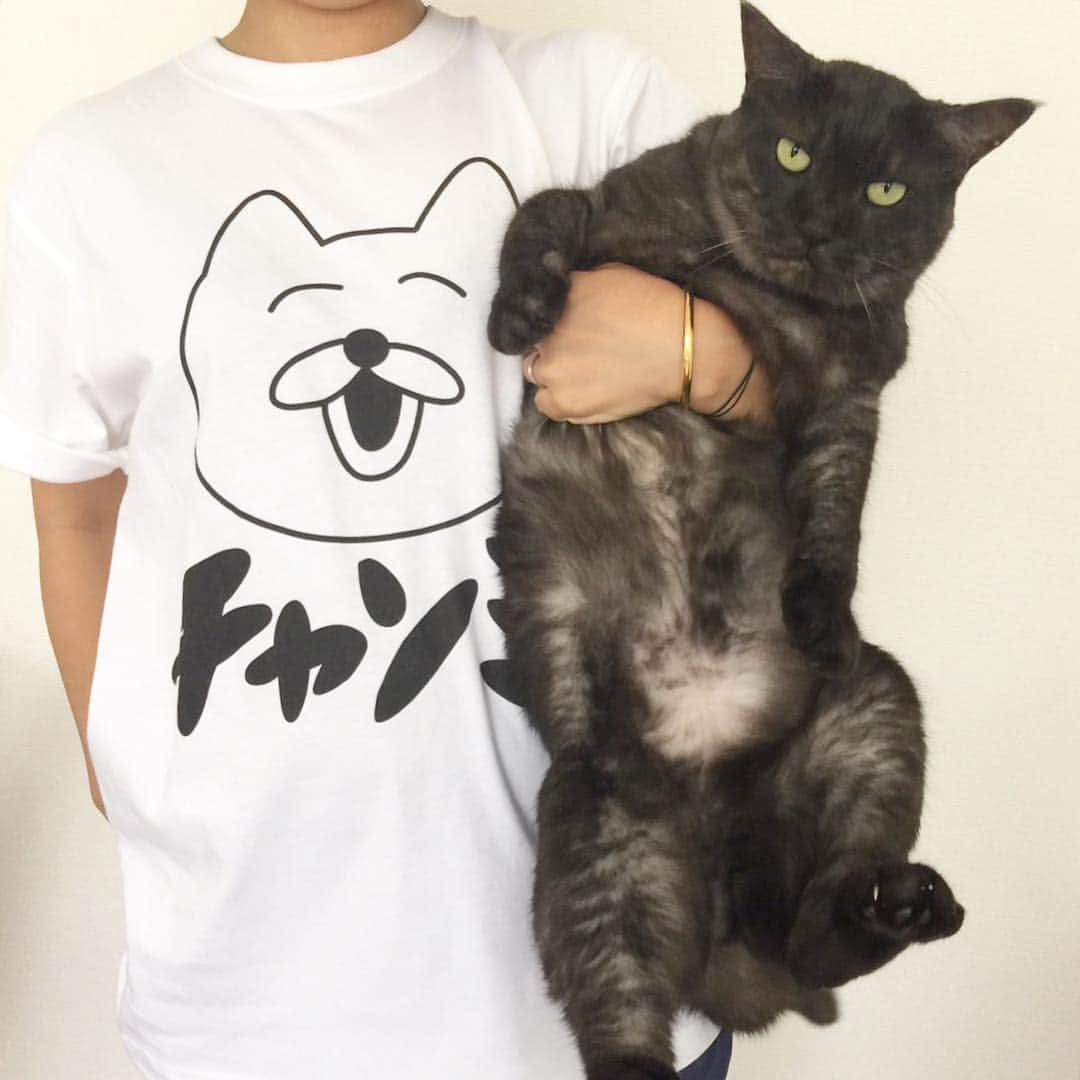 服部円さんのインスタグラム写真 - (服部円Instagram)「チャンミーT届いた😹🖖🏻 #クリエイティブキャット #チャンミー #ilovecat #スー吉」7月3日 14時03分 - madokahattori