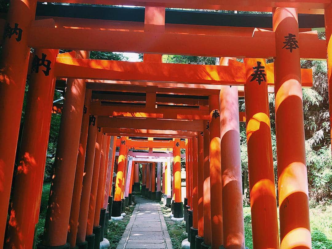 岩崎志保のインスタグラム：「. #京都 #伏見稲荷 #⛩ #岩崎の旅録」