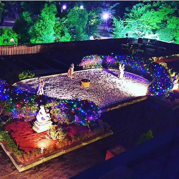 東京プリンスホテル / Tokyo Prince Hotelのインスタグラム：「【東京プリンスホテルの想い出】 客室からの景色！ブッフェレストラン「ポルト」の庭園。  #regram 📷by@koigokoro178maki  #reborn_tph #写真投稿キャンペーン #素敵な写真ありがとうございます  #東京プリンスホテル#旅行#東京#プリンスホテル#tokyoprincehotel #イルミネーション#庭園#ブッフェレストラン#ポルト#illumination#hotel#restaurant#buffet #また来年桜の咲く頃にお会いしましょう」