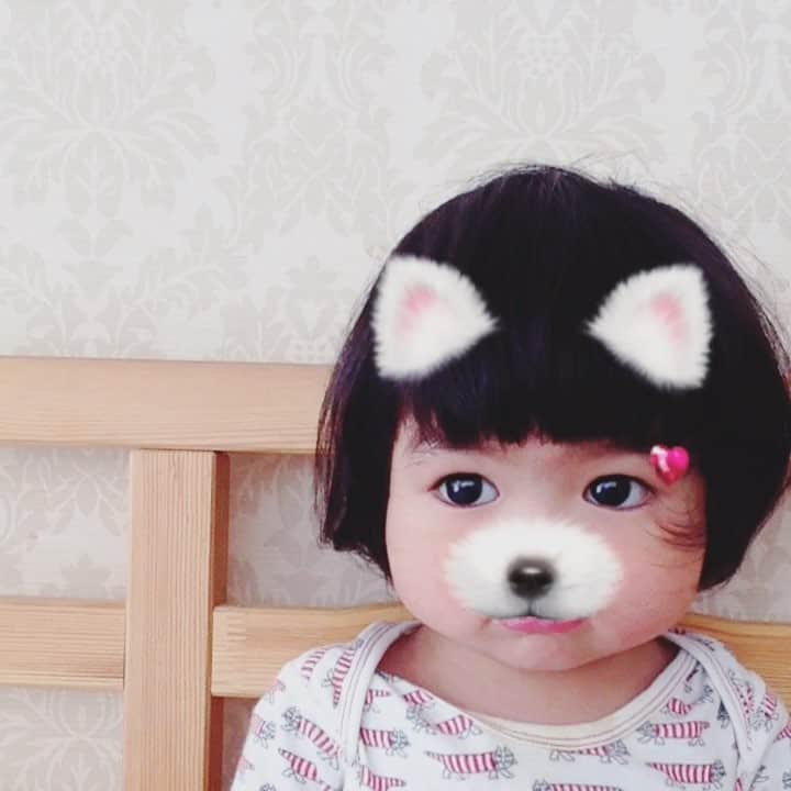 のインスタグラム：「100億回見ても飽きない可愛さなんだよな。 #snow」