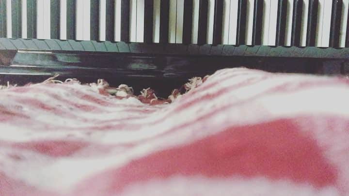 木下美咲のインスタグラム