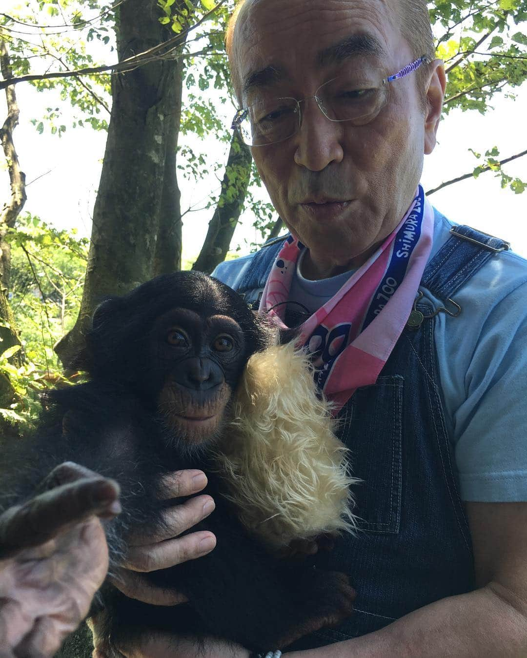 志村けんのインスタグラム