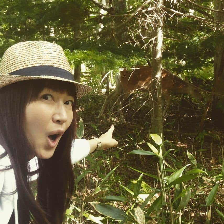森口瑤子さんのインスタグラム写真 - (森口瑤子Instagram)「し、鹿！鹿！鹿！！ わかるかな？  #ロケーション #知床 #ネイチャーツアーで鹿さんに遭遇」7月7日 21時18分 - yokomoriguchi_official