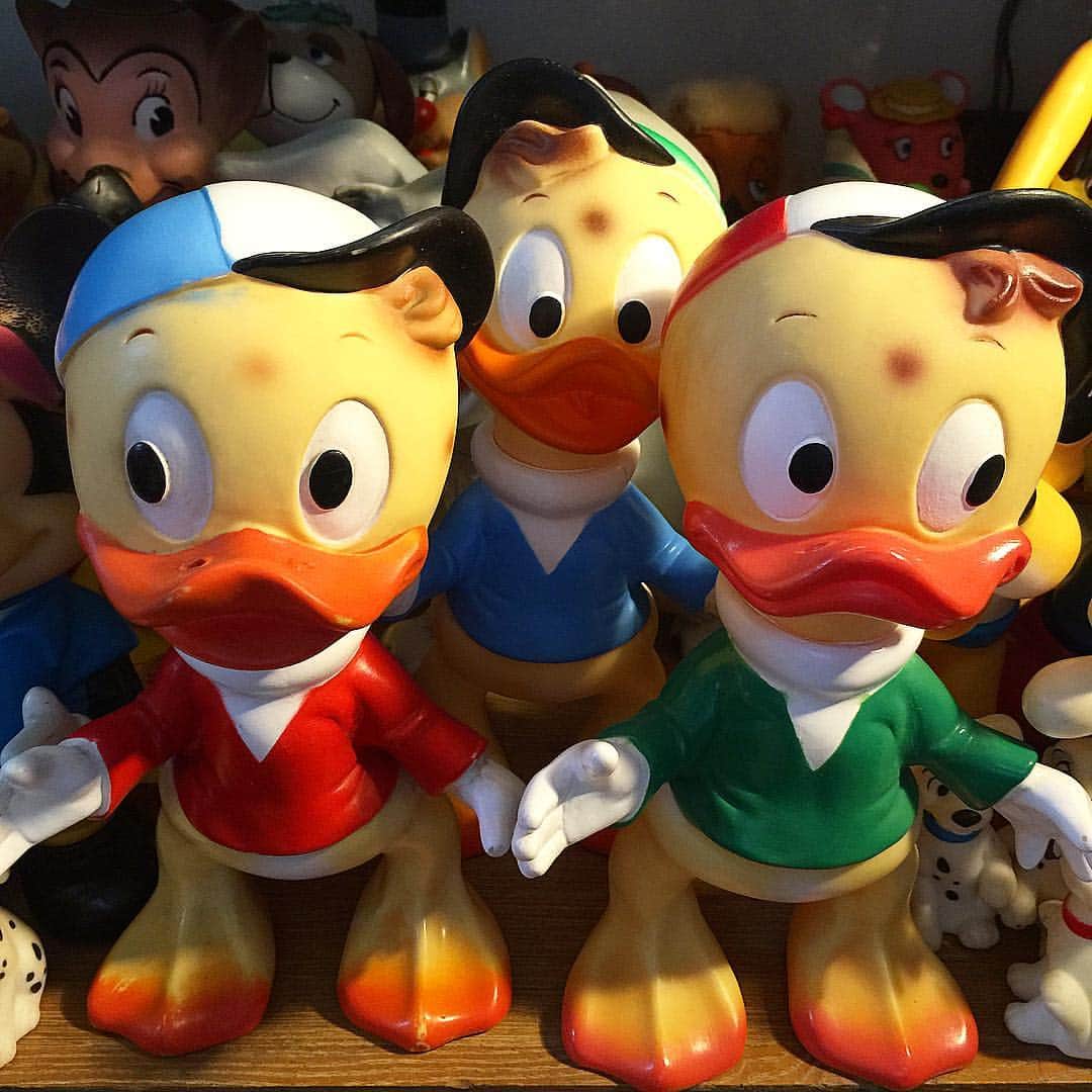 大川知英のインスタグラム：「@Walt Disney production 1960 Huey, Dewey and Louie ラバードール 🇮🇹 ドナルドダックの妹のダンベラ・ダックの子供であり、ドナルドから見れば甥に当たる可愛い三つ子🇺🇸 👶 #ウォルトディズニープロダクション #ディズニー  #ヒューイデューイルーイ  #ビンテージ #toy #イタリア製 #ラバードール」