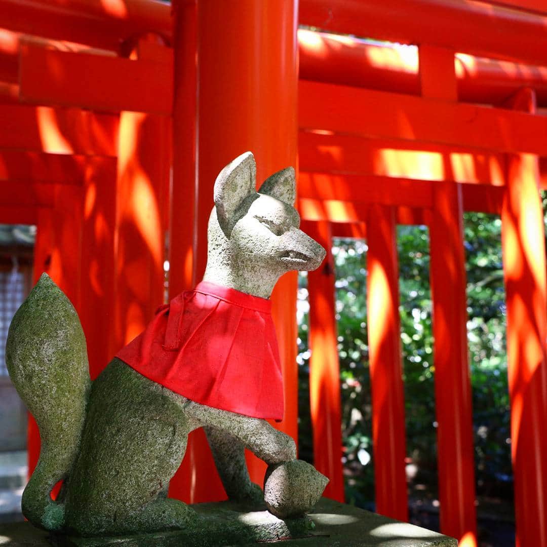 熱海市さんのインスタグラム写真 - (熱海市Instagram)「犬じゃないんだな、これが。  #熱海 #神社 #鳥居 #稲荷 #稲荷社 #今宮神社 #atami #shrine #japan #japantrip #狐 なんですよね。 #皆さんの近所にも #お稲荷さん ありませんか？」7月11日 16時45分 - atami_official