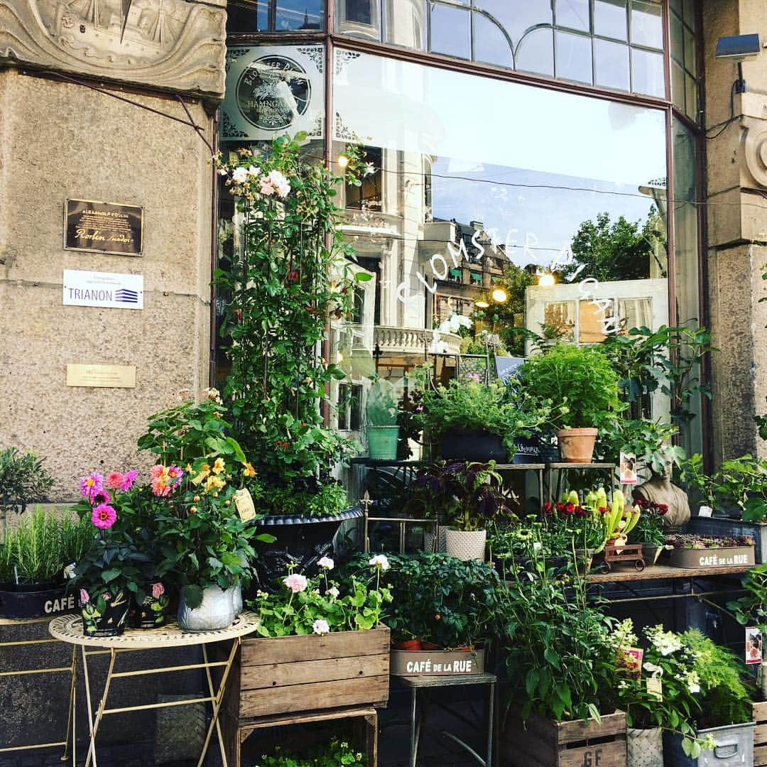ecomfort（エコンフォート）さんのインスタグラム写真 - (ecomfort（エコンフォート）Instagram)「スウェーデン、マルメで可愛いお花屋さんをみつけました。街もお店もなにもかも素敵です。  www.ecomfort.jp  #スウェーデン#マルメ#旅#お出かけシリーズ#クリッパン」7月11日 22時50分 - ecomfort_eoct
