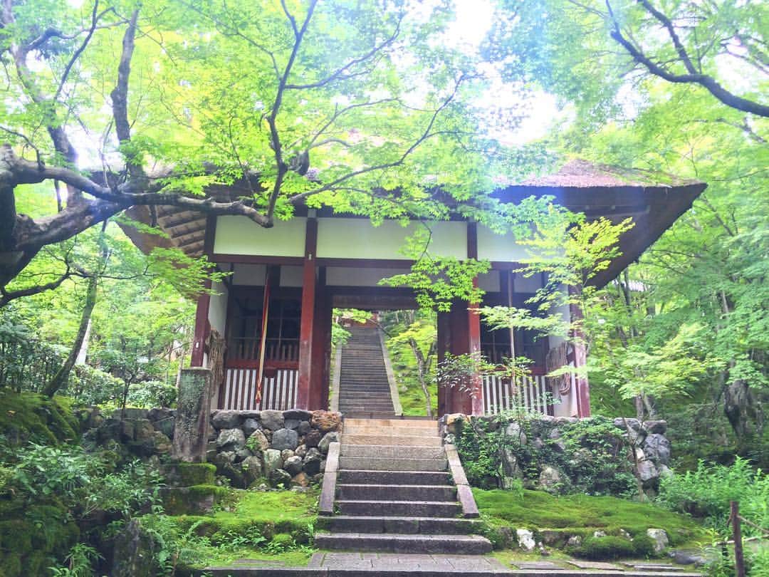 泉里香さんのインスタグラム写真 - (泉里香Instagram)「初めて。 緑がすごく綺麗だった #京都#嵐山#旅#temple#kyoto」7月13日 9時58分 - rika_izumi_