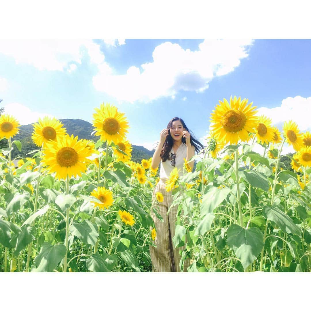 新木優子さんのインスタグラム写真 - (新木優子Instagram)「😆」8月8日 19時05分 - yuuuuukko_