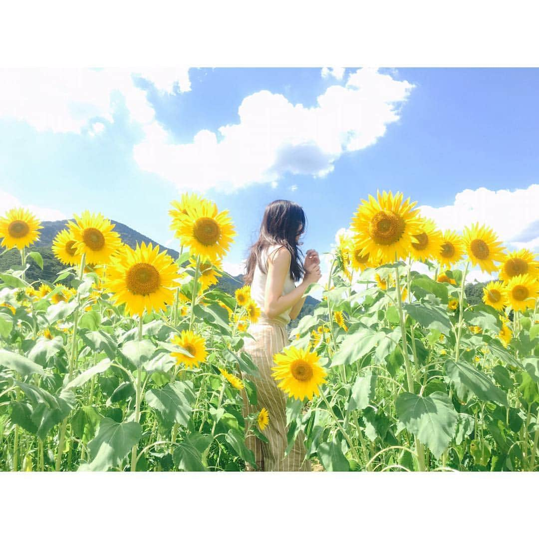 新木優子さんのインスタグラム写真 - (新木優子Instagram)8月8日 19時04分 - yuuuuukko_