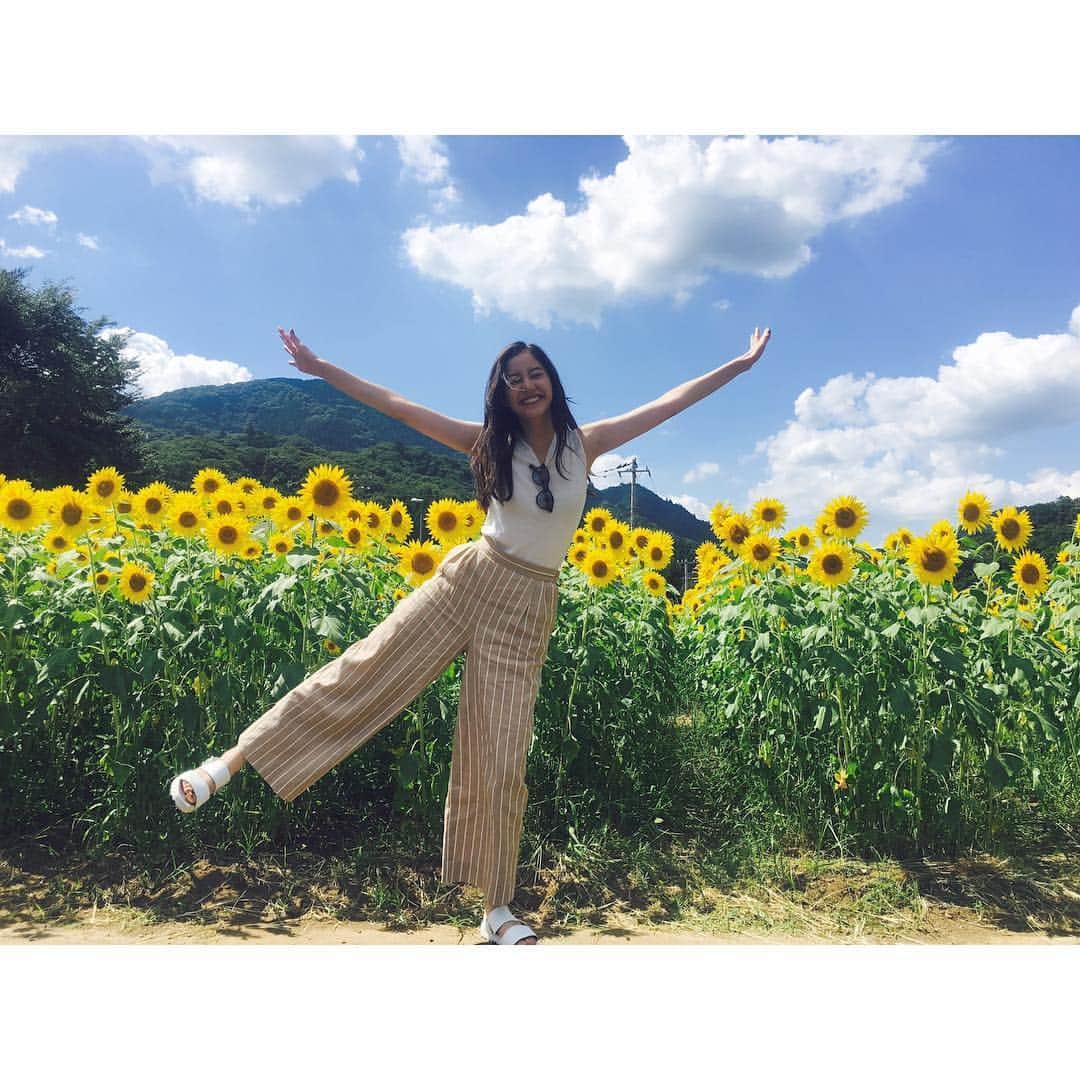 新木優子さんのインスタグラム写真 - (新木優子Instagram)「ドライブの途中で可愛い向日葵がたくさん咲いているところを発見したよ😳💗」8月8日 19時12分 - yuuuuukko_