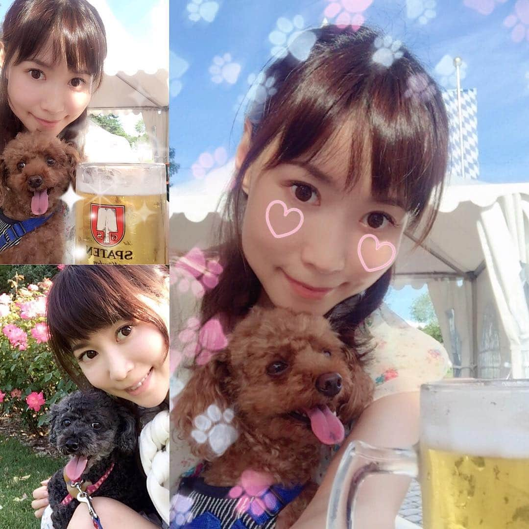 伊沢千夏さんのインスタグラム写真 - (伊沢千夏Instagram)「お散歩中にʕ　·ᴥ·ʔ　ʕ·ᴥ·　ʔ #ビアガーデン #お散歩 #ドイツビール #おビール最高ですわ #フフフ #しかし暑い #サマーカット ▽・x・▽ #snow認識されずʕ•ᴥ•ʔ笑」8月9日 16時13分 - izawachinatsu