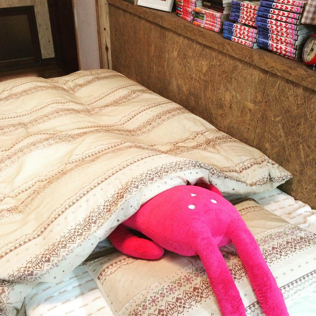 櫻井美咲のインスタグラム：「_ ベッド占領された。。 #心の友#SHONAN#myroom」