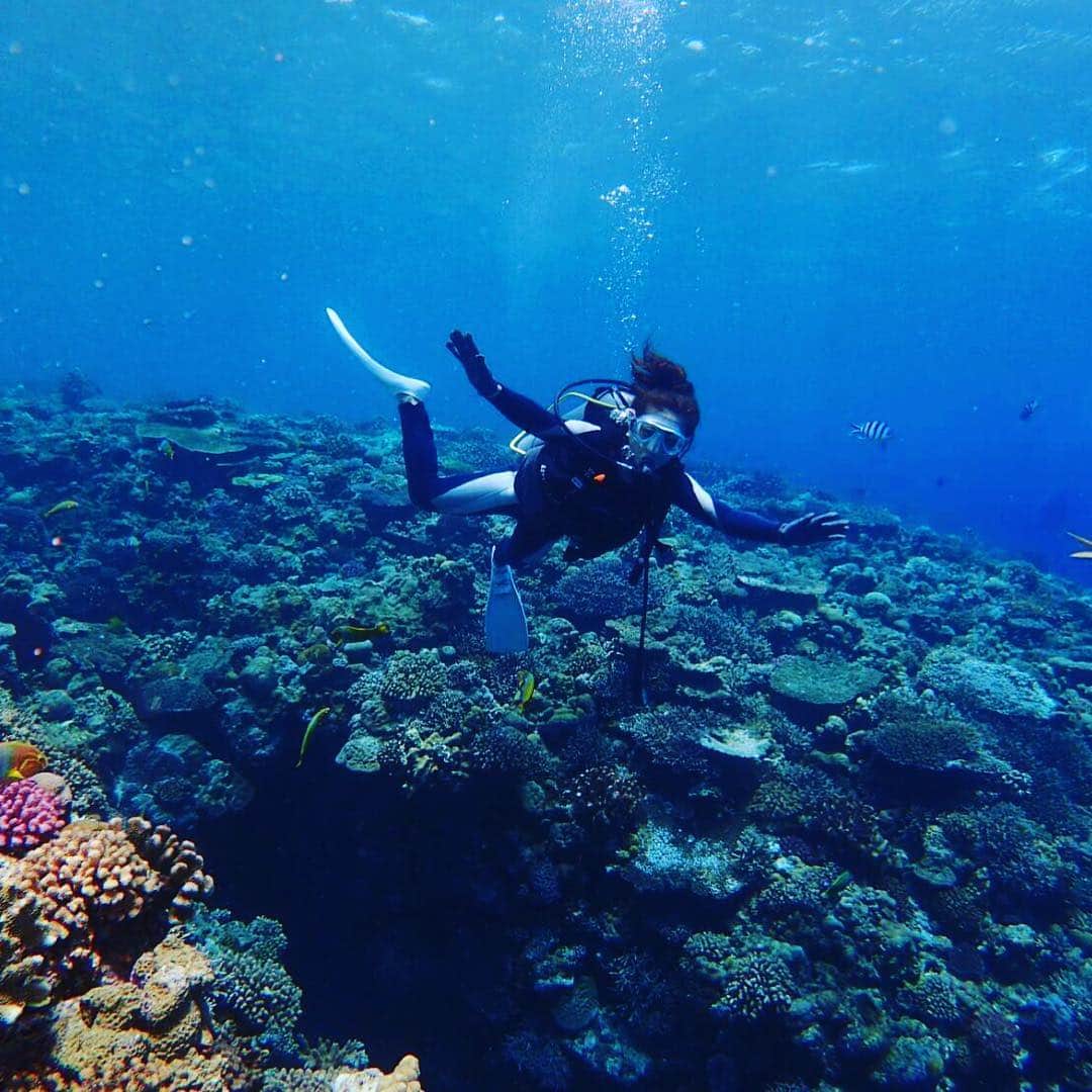 のインスタグラム：「沖縄の海は、本当に最高ね*･゜･*:.｡..｡.:*･'(*▽*)'･*:.｡. .｡.:*･゜･*」
