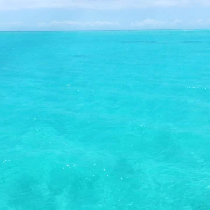 岸川聖也のインスタグラム：「与論島では毎日船に乗って海に潜ってました！天気も良くて最高です😁本当に海綺麗です👍🏻 #与論島 #百合ヶ浜 #海」