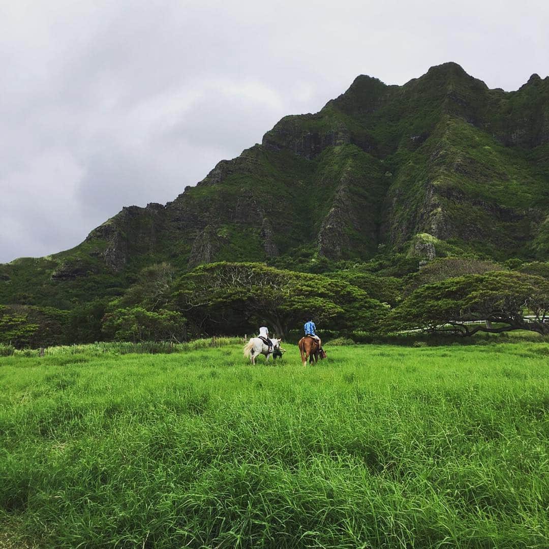 千秋さんのインスタグラム写真 - (千秋Instagram)「ちっちゃい。#乗馬 #ハワイ #hawaii ハワイ情報のまとめは千秋ブログに随時更新🌴 #千秋旅日記」7月21日 11時52分 - chiaki77777
