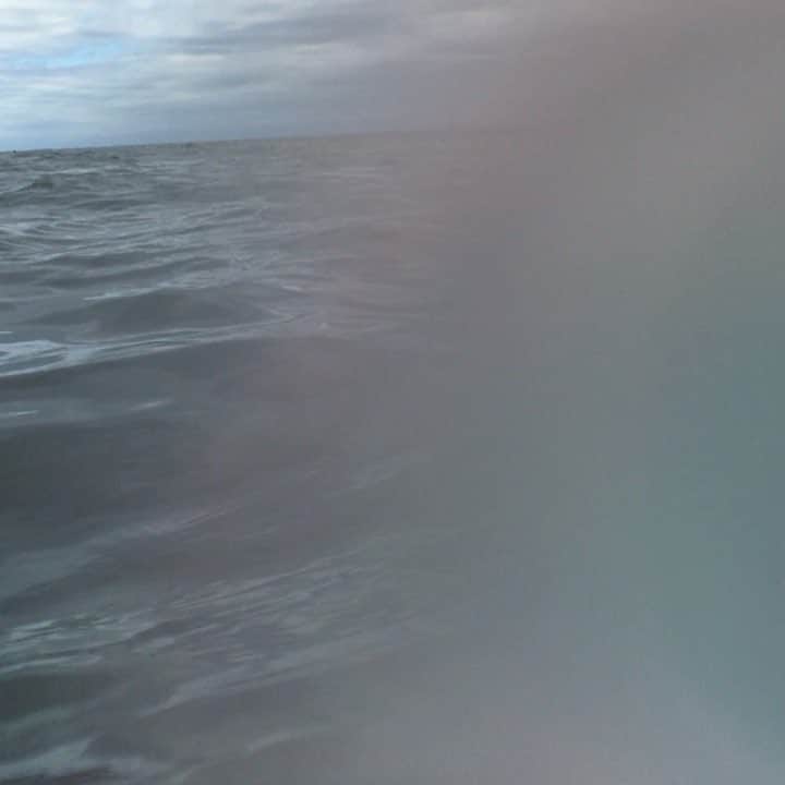 sayoのインスタグラム：「オーストラリアのケアンズ行ってきたよー*\(^o^)/* グレートバリアリーフで天然の海ガメを発見して必死に追跡！♡ 泳いでる海ガメ可愛い♡  #australia #cairns  #greatbarrierreef #seaturtle #trip #シュノーケリング #海ガメ #happy」