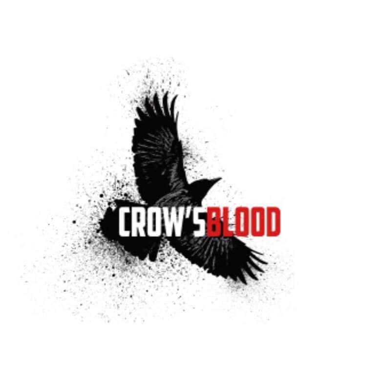 霧島れいかのインスタグラム：「huluオリジナル 日米共同製作ホラーサスペンスドラマ🎬 … 「CROW'S BLOOD」  いよいよ本日から配信です📺 映画sawシリーズのダーレン・リン・バウズマン監督が総指揮です。 ご覧いただけたら嬉しいです！ http://crows-blood.com/sp/  #hulu #drama #horror #suspense #crowsblood #onair #amazing #dontmissit  #director #executiveproducer #DarrenLynnBousman  #渡辺麻友 #宮脇咲良 #AKB48」