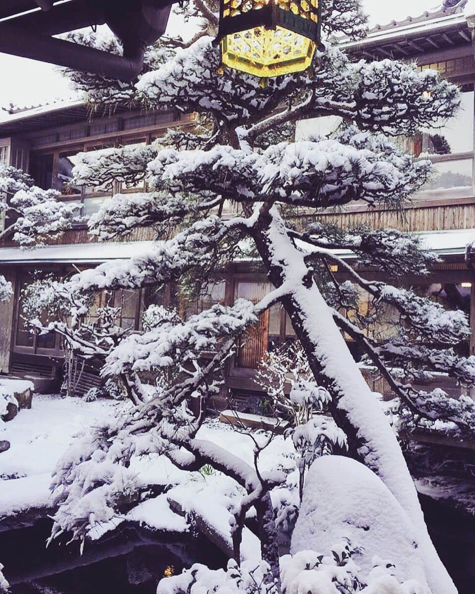 割烹旅館 海喜荘のインスタグラム：「Winter scenery 2！  #winterscenery #snow #japanesehotel #hotel #japan #大分 #国東 #旅館」