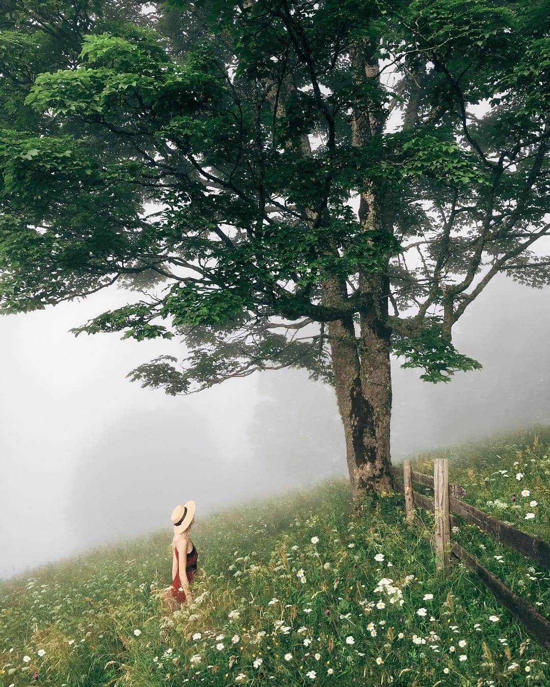 Anna Derzhanovskayaのインスタグラム：「About my perfect moment and place// #bukovel_instacamp_summer 👒: @tata.wool」