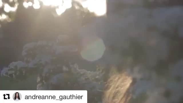 ジョアニー・ロシェットのインスタグラム：「#Repost @andreanne_gauthier with @repostapp ・・・ De la belle lumière naturelle de fin de journée : c'est tout ce dont nous avions besoin pour faire ce magnifique shoot avec Joannie Rochette!  Les photos suivront ;) Artiste I @joannierochette Mise en beauté I @alexia_baillargeon Stylisme et direction artistique I @craigmajor  Equipe video | @productionsmogwai @lawrencedupuis  @schiavi_benjamin  @Assistante I @kathauquotidien PR I @chadcommunications Communications」