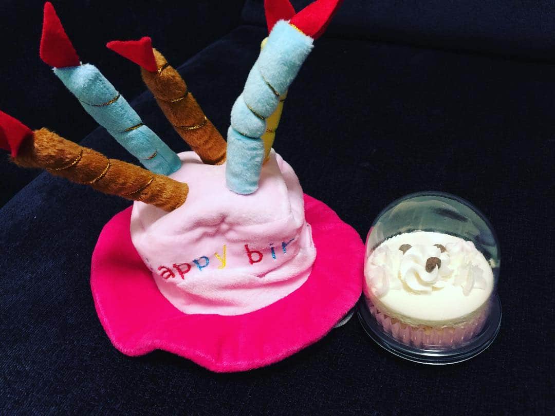 木口亜矢さんのインスタグラム写真 - (木口亜矢Instagram)「このHat🎩をかぶせるのは至難の技。 誕生日に初めてカップケーキを食べた彼… あまりにも美味しかったみたいで近づいたらうなっていました#Birthday」7月27日 2時13分 - ayakiguchi
