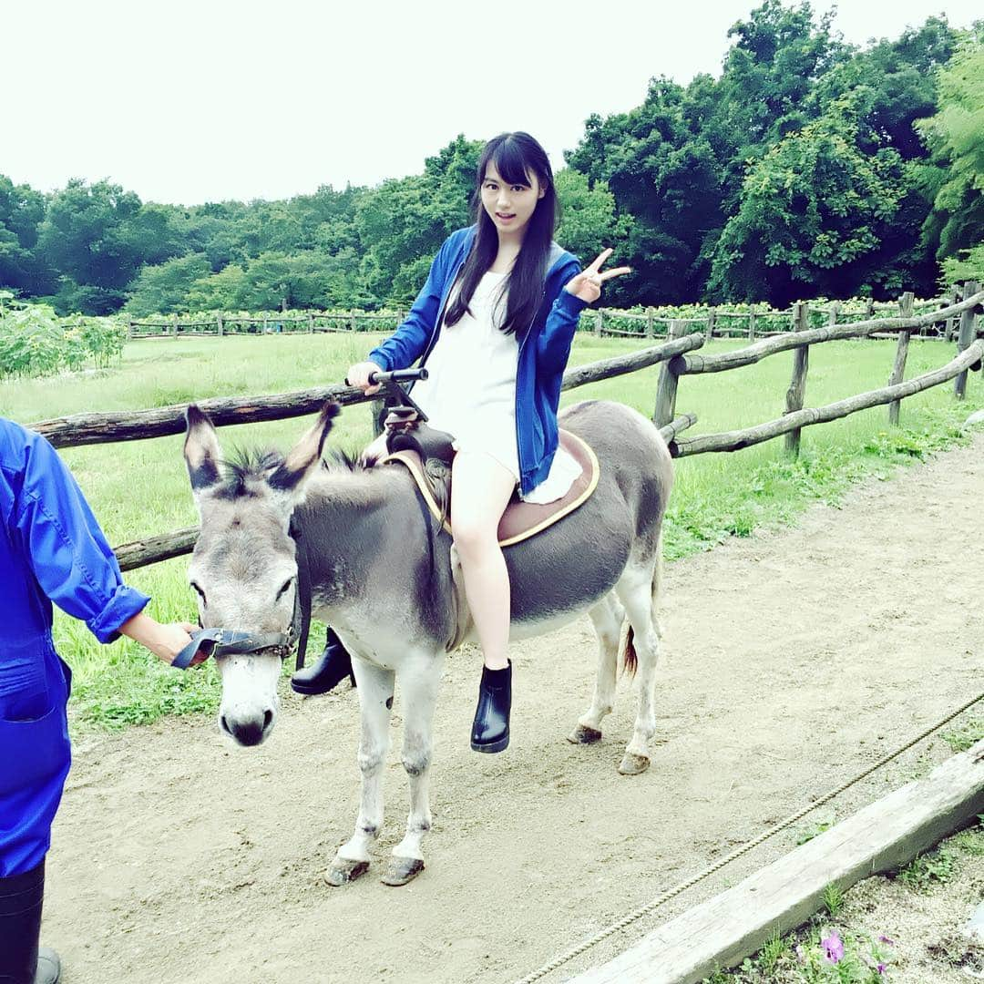 宮澤じゅりさんのインスタグラム写真 - (宮澤じゅりInstagram)「初めての乗ロバ🐴  #馬じゃなくてロバ #乗ロバ #すごく揺れた #怖かった #ロバの方が揺れるらしい #ブルーメンの音楽隊を思い出す #ロバ #初 #初めて乗った #落ちそうだった #意外と落ちない #不安定 #ピース #enjoy #南ヶ丘牧場 #me #那須高原 #栃木県 #栃木」7月29日 2時14分 - juria_kubo