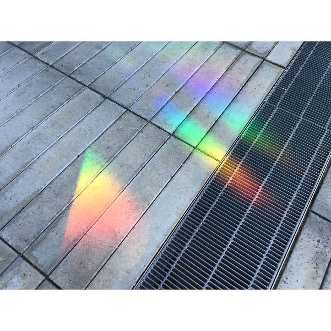 松田るかさんのインスタグラム写真 - (松田るかInstagram)「いつもついつい下を見ながら歩いちゃうんだけど、虹見れたからたまにはアリかもって思った。 鼻の頭のニキビたちも虹色綺麗って言ってたよ👃(一昨日までなかったのに昨日で5個できたのショック)  #rainbow #prism」7月31日 17時25分 - imrukam
