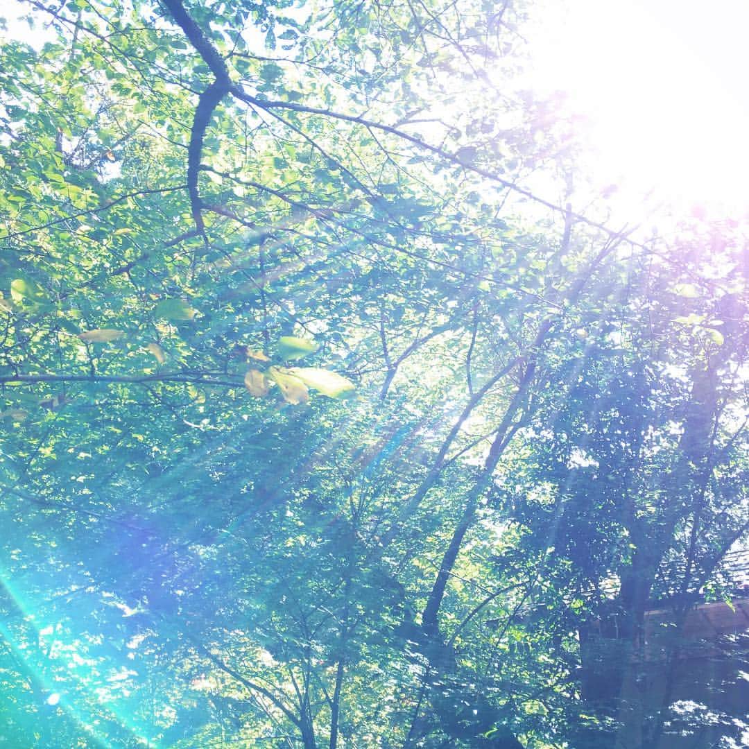 石野千尋のグルメインスタ