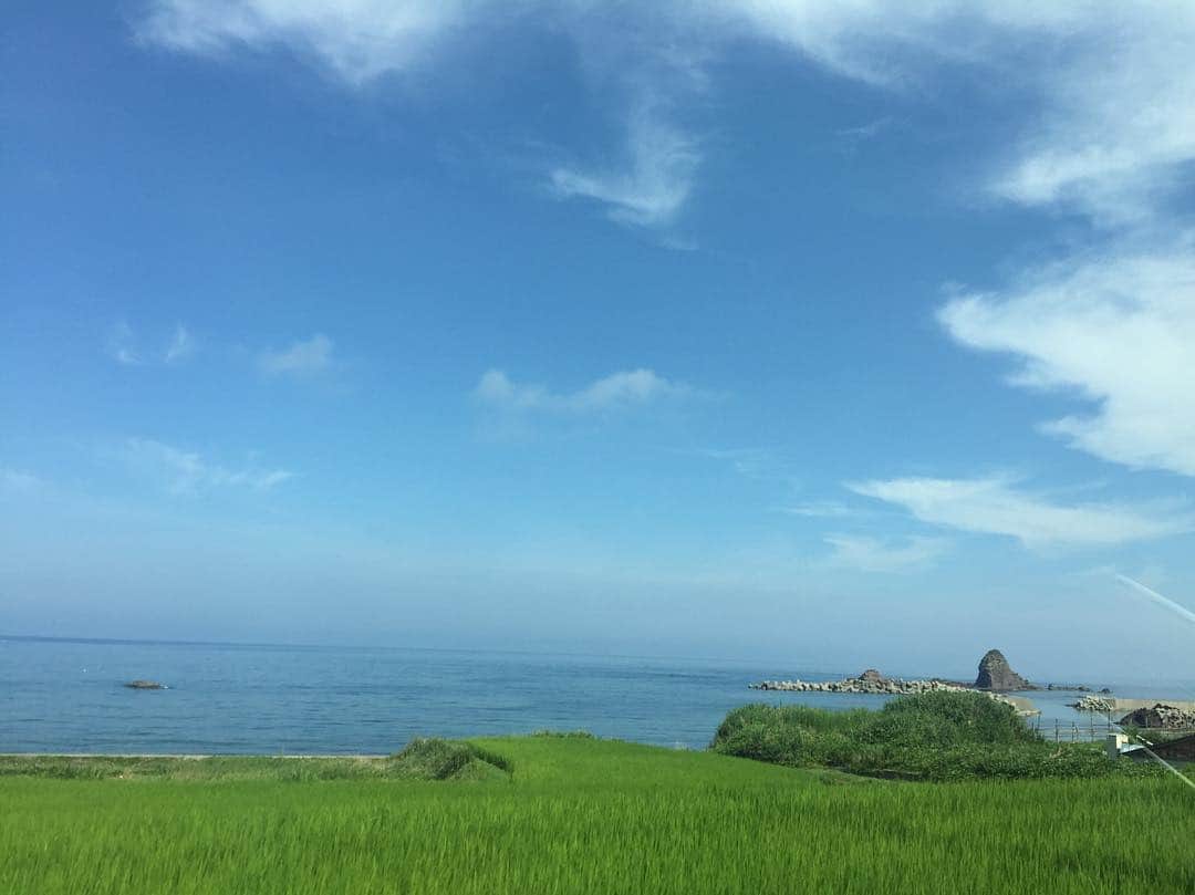 市井紗耶香さんのインスタグラム写真 - (市井紗耶香Instagram)「佐渡島、天気に恵まれ感動もの。 生態系や循環を学ぶことも出来て 子どもたちの成長も見れた家族旅行でした。  #familytime #家族旅行 #新潟 #佐渡島 #朱鷺 #camping #trip」8月3日 7時39分 - sayakaichii