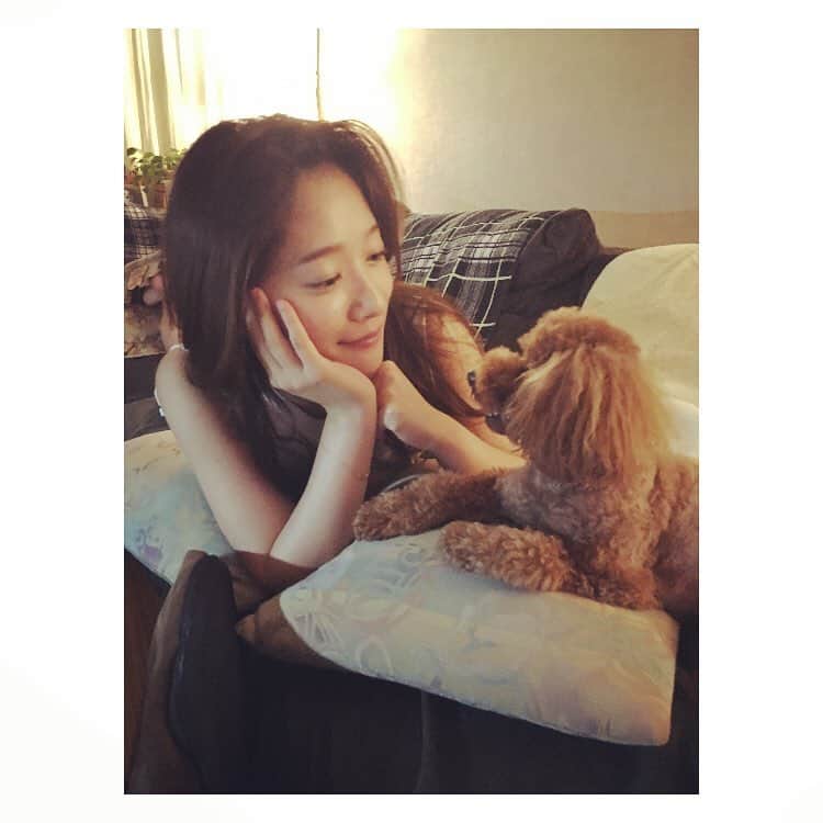 のインスタグラム：「こちらとは円満。 #ランプ #トイプードル #愛犬 #もう4年目の付き合い #実家に帰ると全力で喜んでくれる唯一の存在」