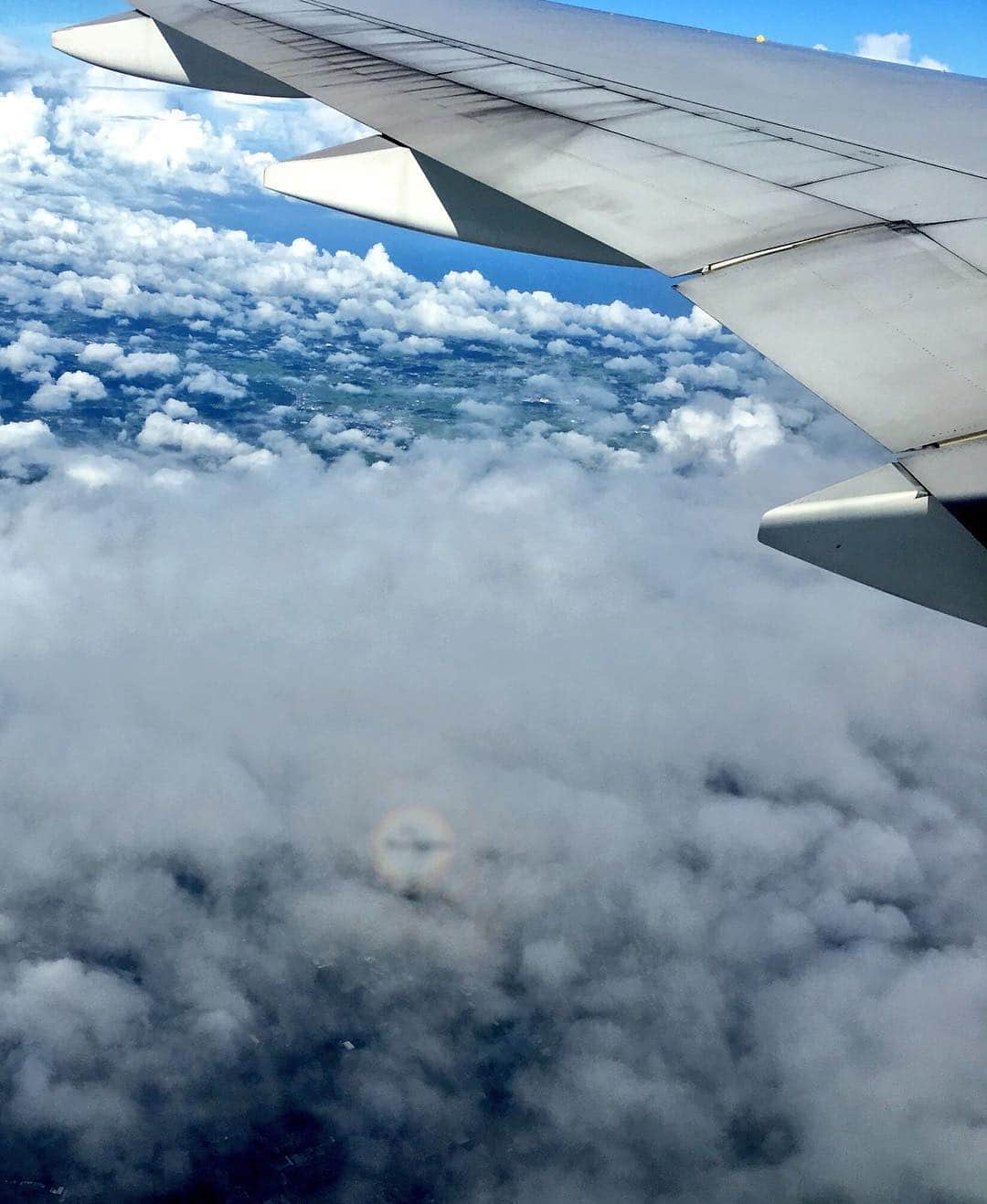 國本未華さんのインスタグラム写真 - (國本未華Instagram)「飛行機から #ブロッケン現象 #光の輪 #かわいい」8月3日 21時48分 - kunimoto_mika
