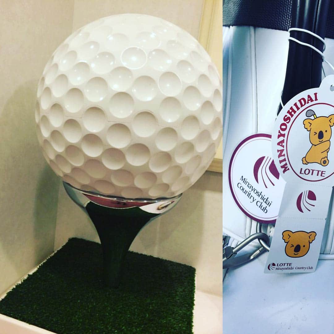 なちゅのグルメインスタ