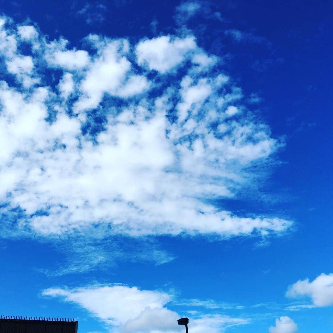 蒼山幸子さんのインスタグラム写真 - (蒼山幸子Instagram)「暑い、きっとこれからどんどん空が高くなる。 おはようございます。」8月5日 10時13分 - sachiko_aoyama