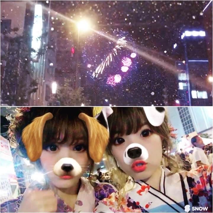 세이스타그램のインスタグラム