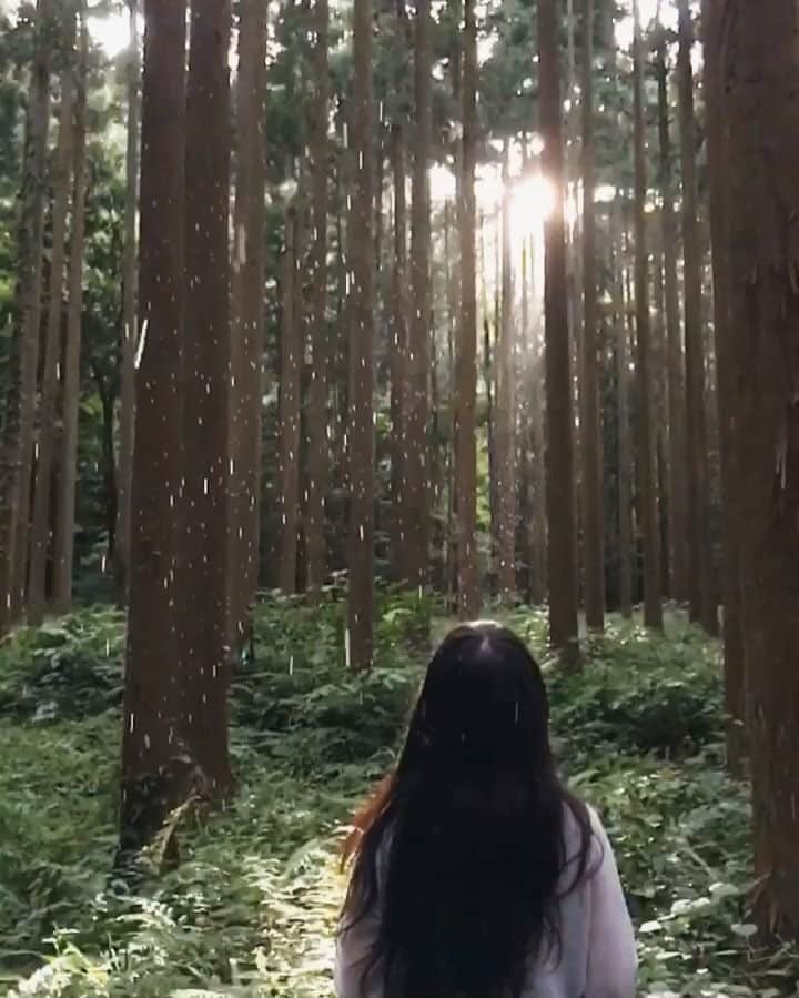 keiichiro fujitaのインスタグラム：「🌞 @cocoon0420 ☔️」