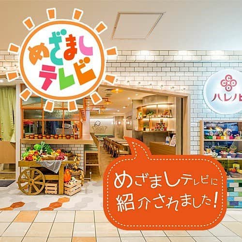 cocaconoのインスタグラム：「2016.09.02 ビューティーポタージュ"COCACONO"専門店(ココ)ハレノヒがフジテレビ「めざましテレビ」の『イマドキ！』コーナーで「夏に失った栄養を取り戻すスープ」として紹介されました！ produced by @yaca_tokyo  #cocacono #コカコーノ #ビューティーポタージュ #ハレノヒ #ダイエット #美容 #美肌 #グルテンフリー #ポタージュ #スープ #ランチ #池袋 #とうもろこし #yacatokyo  http://harenohi.jp/cocacono http://tabelog.com/tokyo/A1305/A130501/13135365」