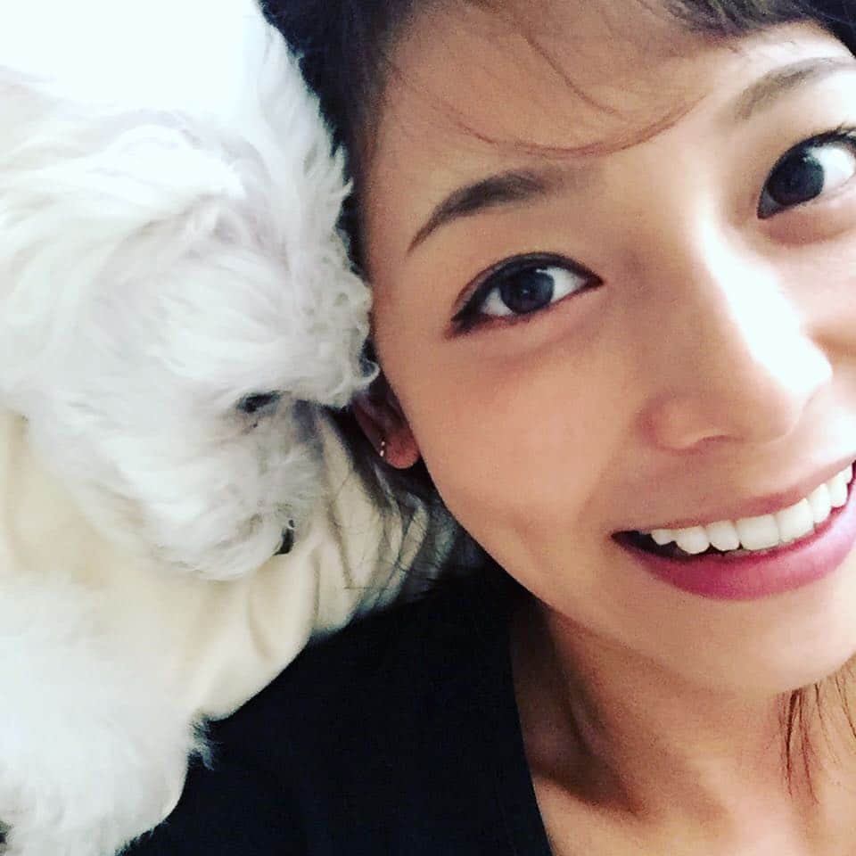 相武紗季のインスタグラム：「最近みゅーが反抗期👻⚡️寝てると可愛いのに😭❤️」