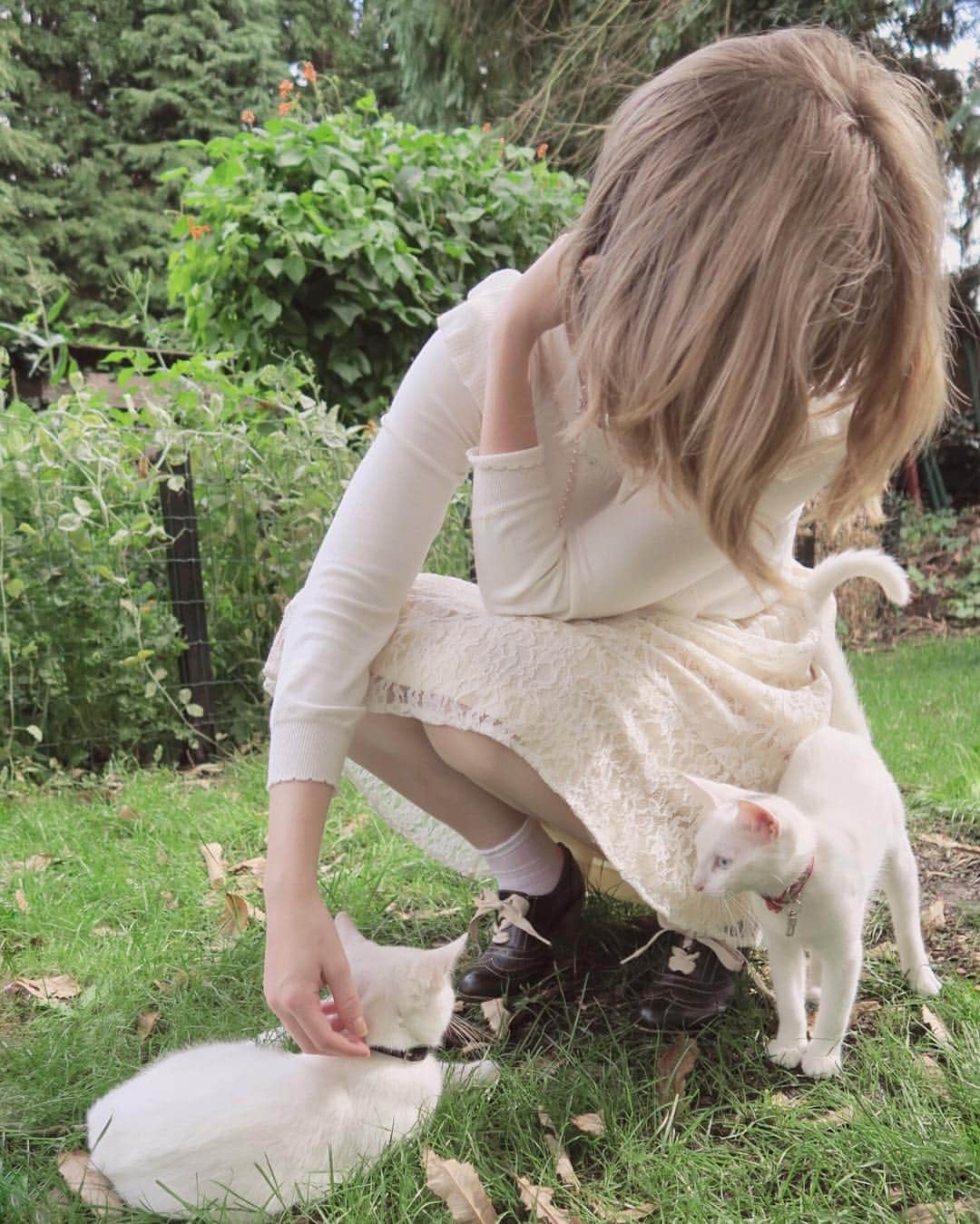 Ella Freyaのインスタグラム：「Meet my kittens Bowie and Luna 🐱🐱」