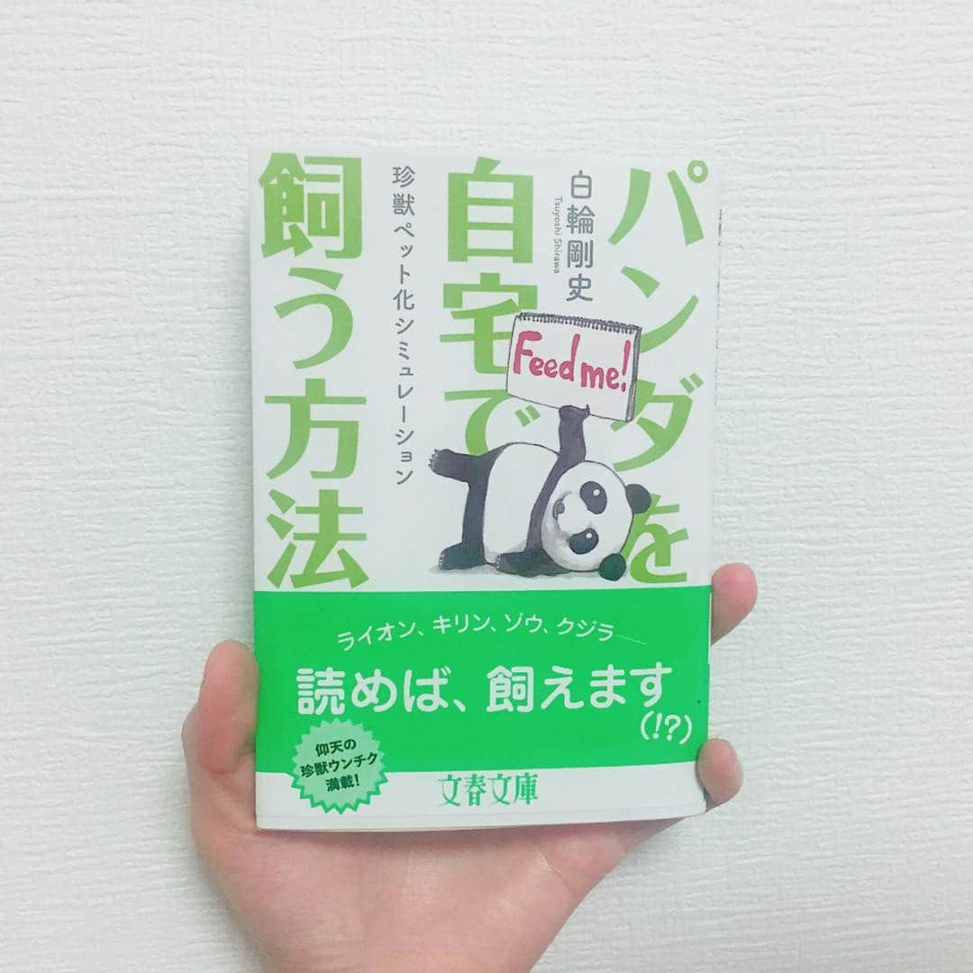 堀みづきさんのインスタグラム写真 - (堀みづきInstagram)「見つけた…💓 #パンダを自宅で飼う方法#本#パンダ#大熊猫#大好き#パンダ飼いたい #パンダスタグラム #みづきのパンダコレクション」9月4日 21時45分 - mizuki_027