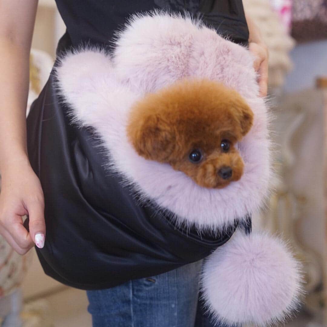 ? Tia ?のインスタグラム